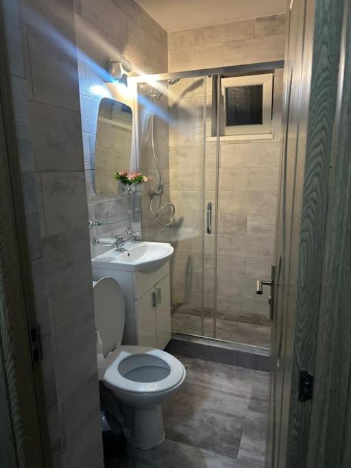 Apartament La Flo Hunedoara Extérieur photo