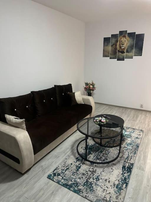 Apartament La Flo Hunedoara Extérieur photo