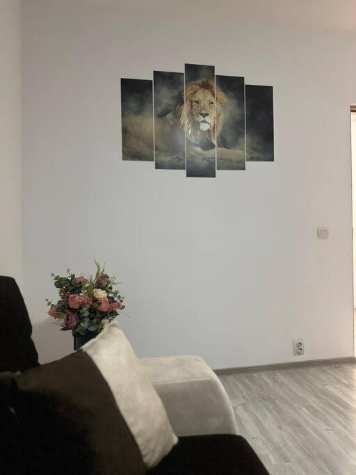 Apartament La Flo Hunedoara Extérieur photo