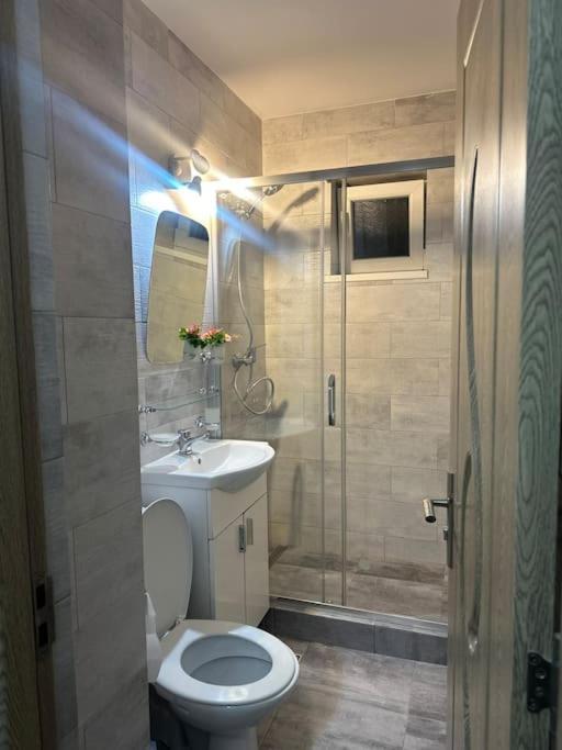 Apartament La Flo Hunedoara Extérieur photo