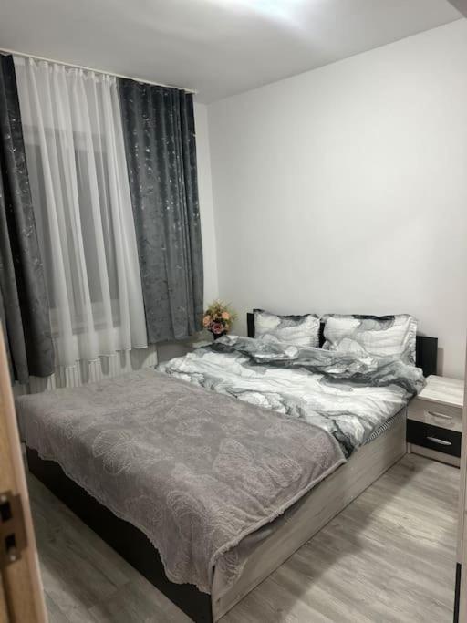 Apartament La Flo Hunedoara Extérieur photo