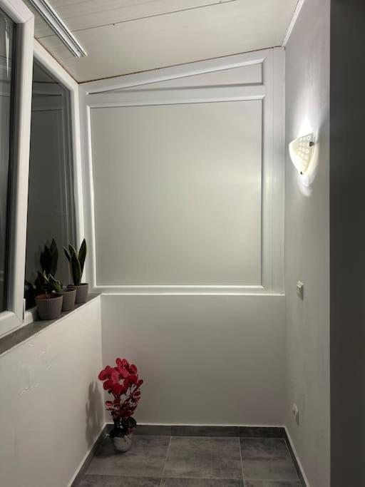 Apartament La Flo Hunedoara Extérieur photo